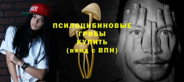 эйфоретик Алексин