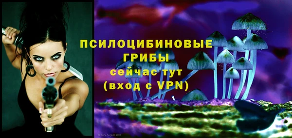 амфетамин Алексеевка